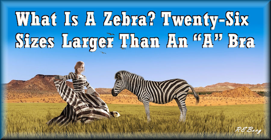 zebrasize