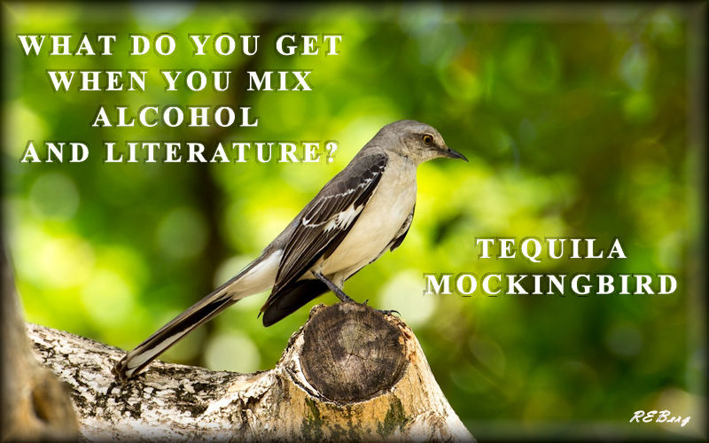 mockingbird