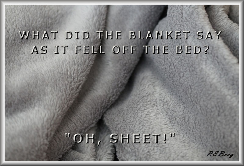 blanket