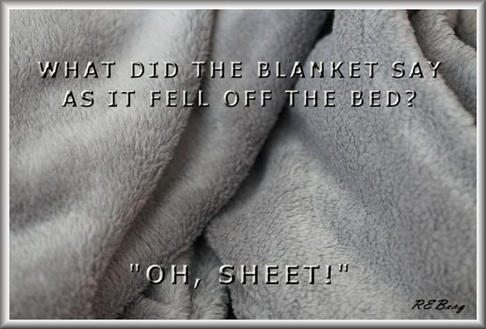 blanket