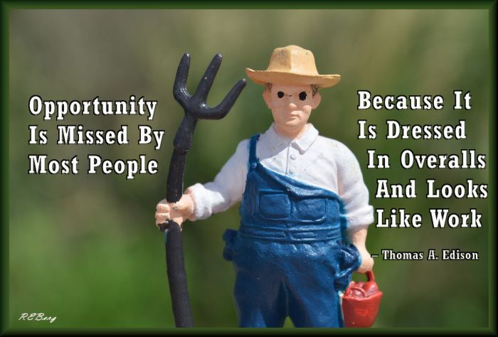 opportunity-unrecognized