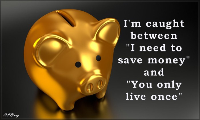 financially-flummoxed