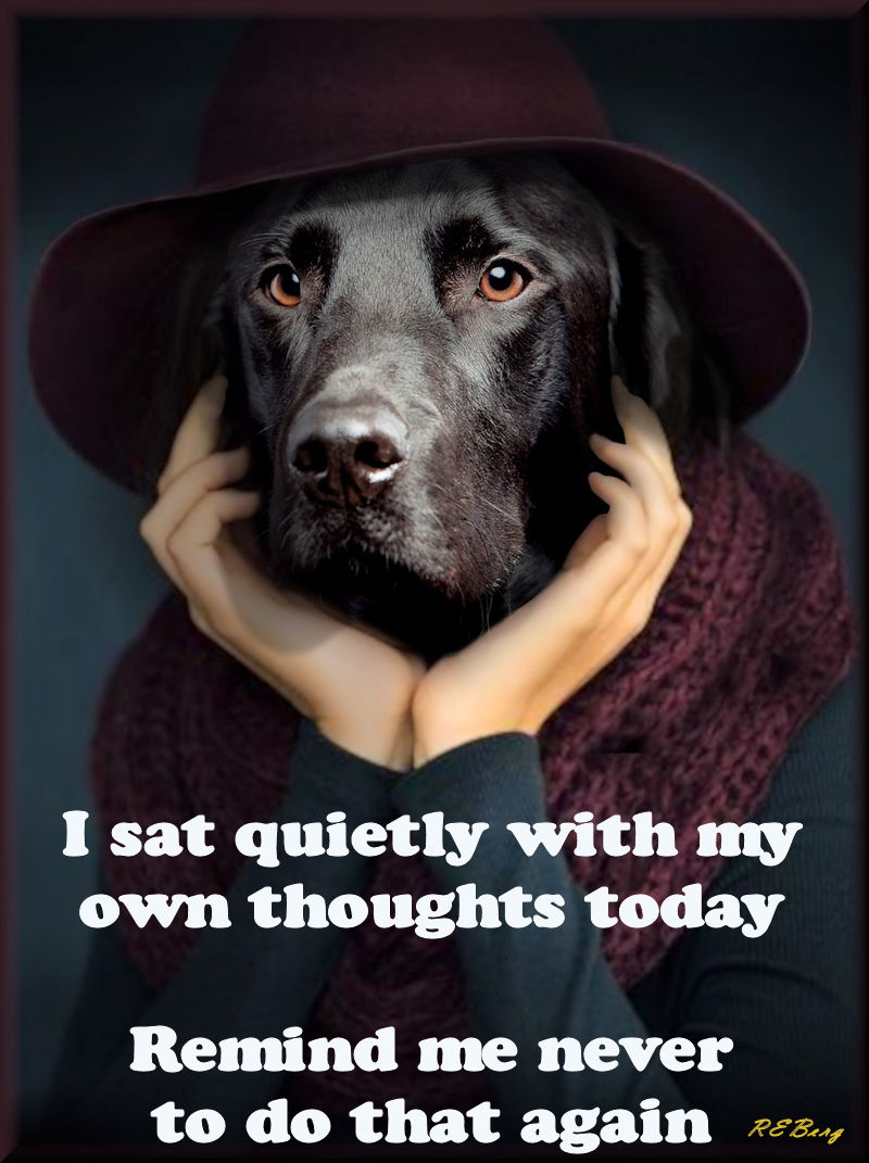 introspective-regrets