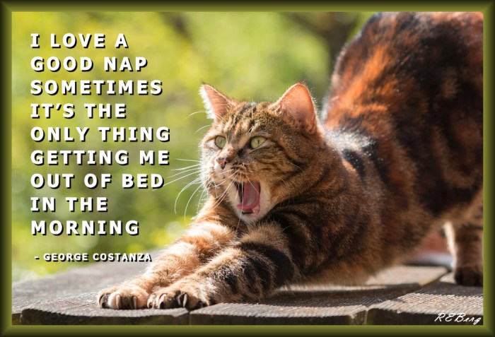 Anticipatory Continuation