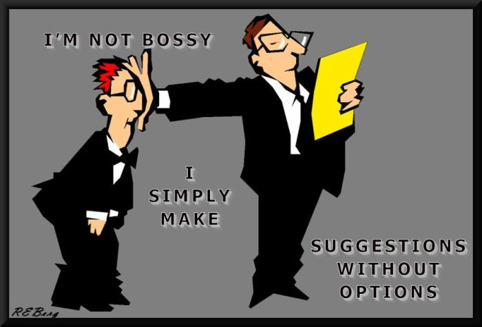 Discretionary Directives