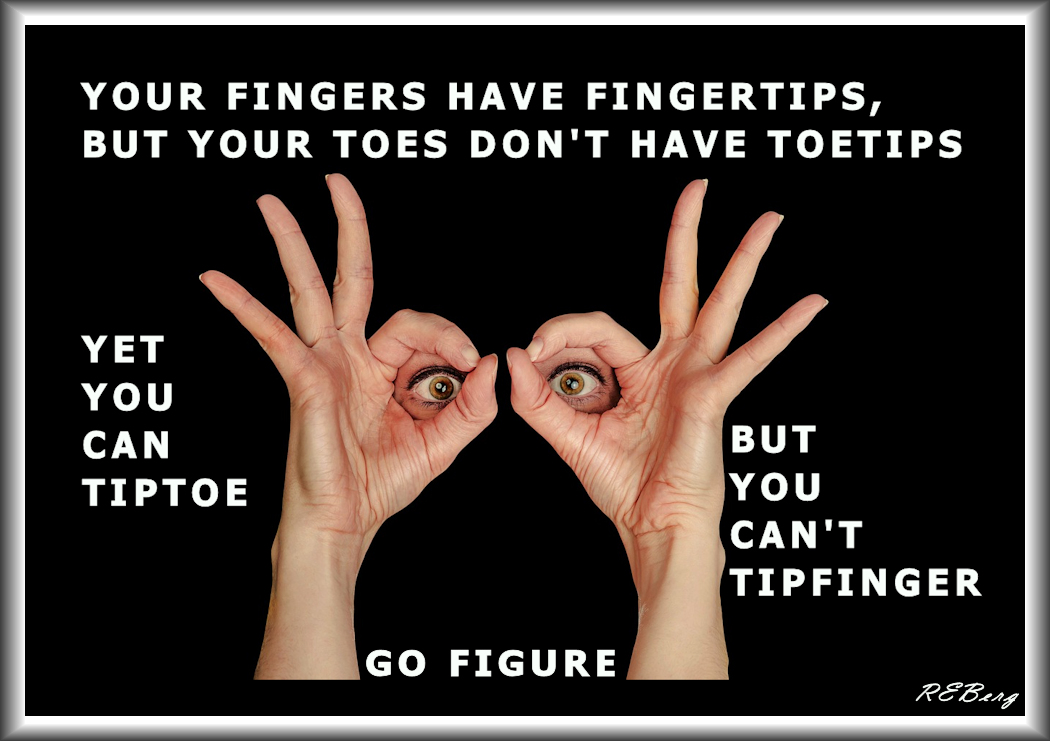 Fingoes And Toegers
