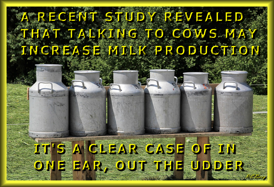 Productive Conversation