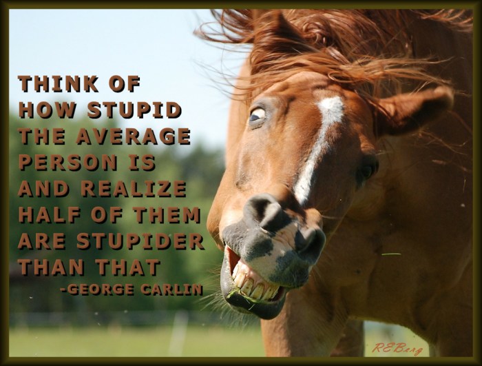 Fractional Intelligence